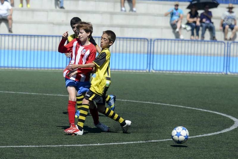 FÚTBOL: Tauste A - Teruel A (Alevín)