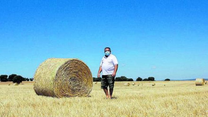 El agricultor Rafael García en una de las parcelas afectadas. | Ana Burrieza