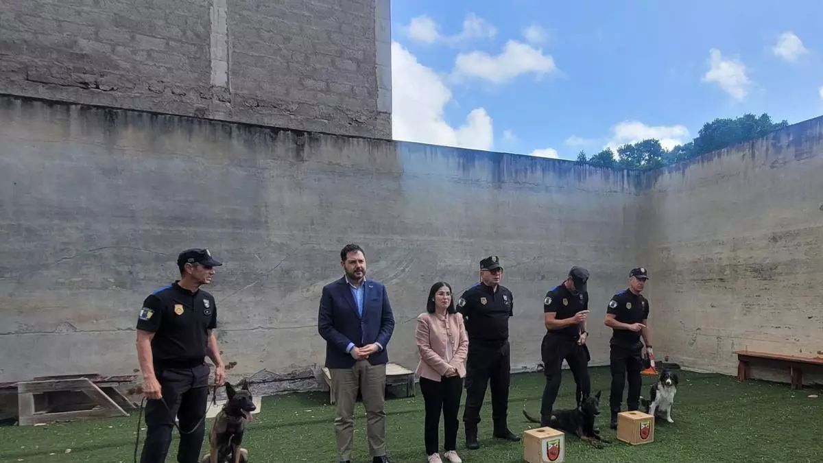 La graduación de Apolo y Cujo, los dos nuevos perros policía de Las Palmas de Gran Canaria