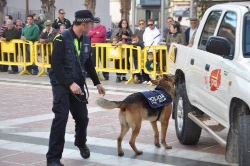 Exhibición canina en Cieza