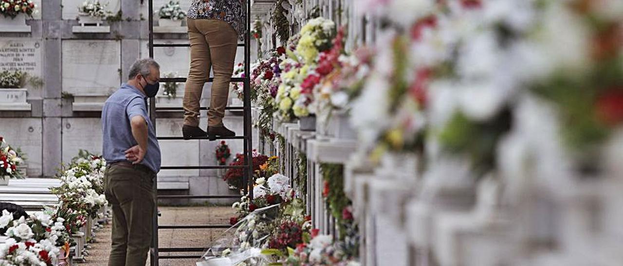 Preparativos por Todos los Santos en el cementerio de La Carriona hace un año. | Ricardo Solís