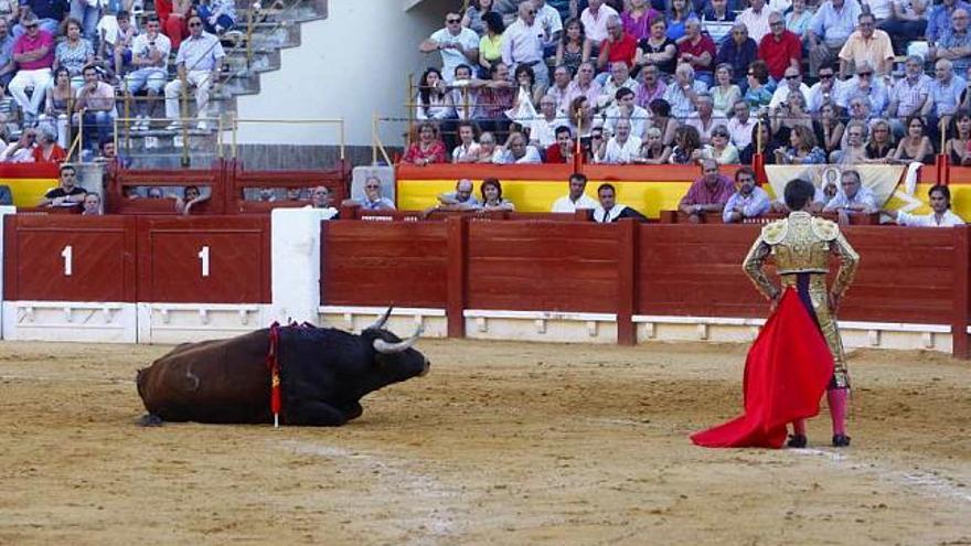 El toro cae fulminado en la plaza sin que Pinar pueda acabar la faena.