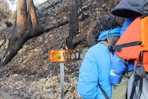 MARCHA ENTRE FUEGO