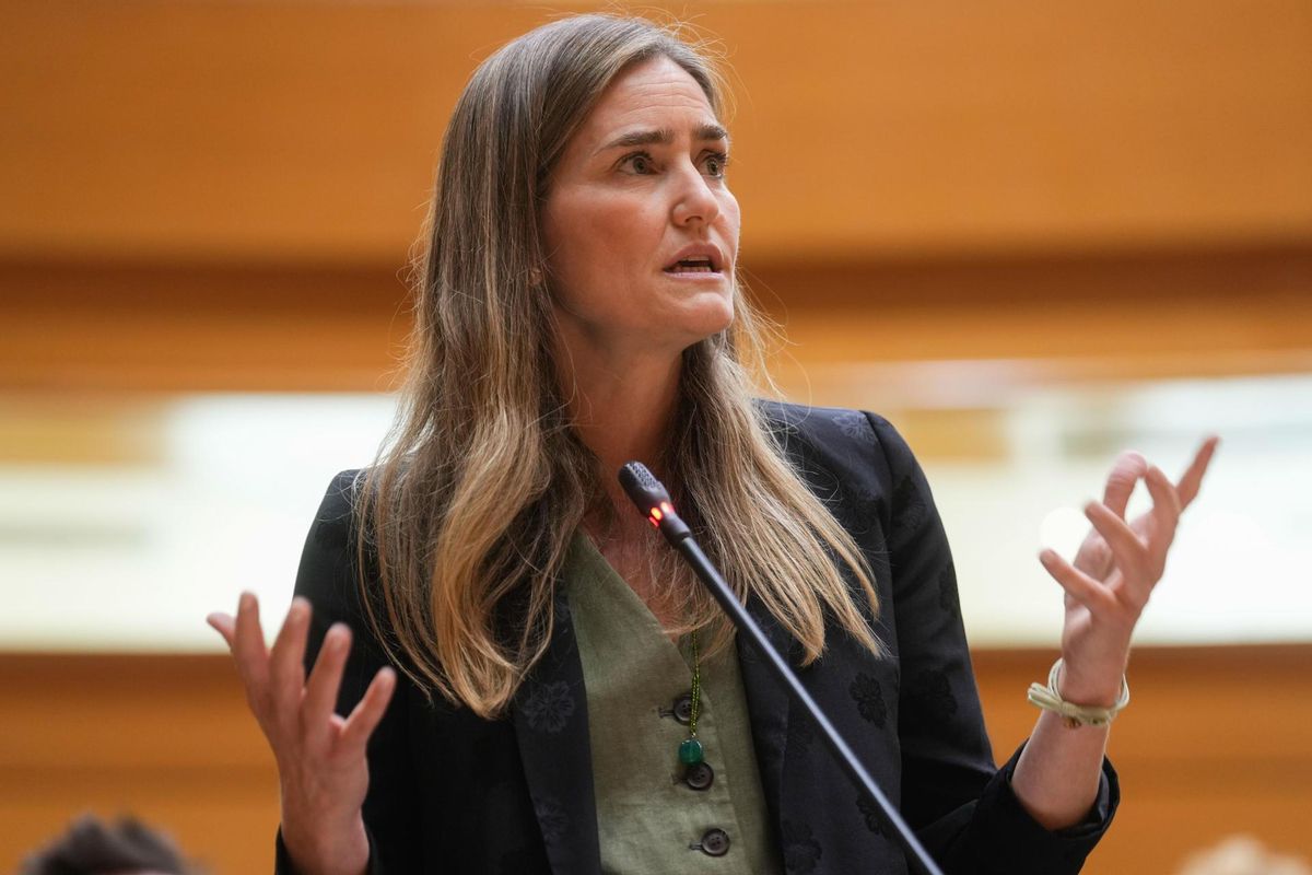 Els espanyols culpen el Govern i Red Eléctrica Els espanyols culpen el Govern i Red Eléctrica