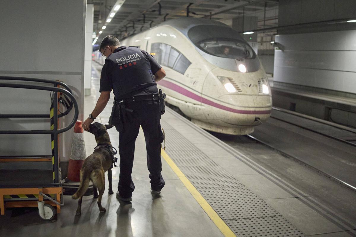 Les imatges de la unitat canina dels Mossos a l'estació de l'AVE buscant explosius