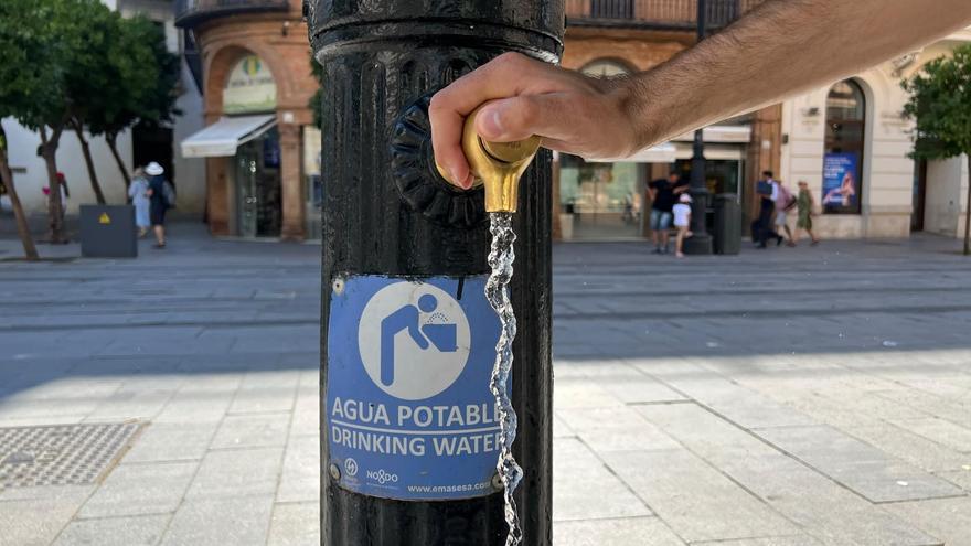 VÍDEO | ¿Cuántas fuentes públicas hay en Sevilla?