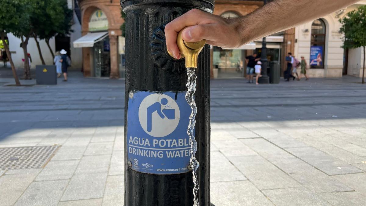 VÍDEO | ¿Cuántas fuentes públicas hay en Sevilla?