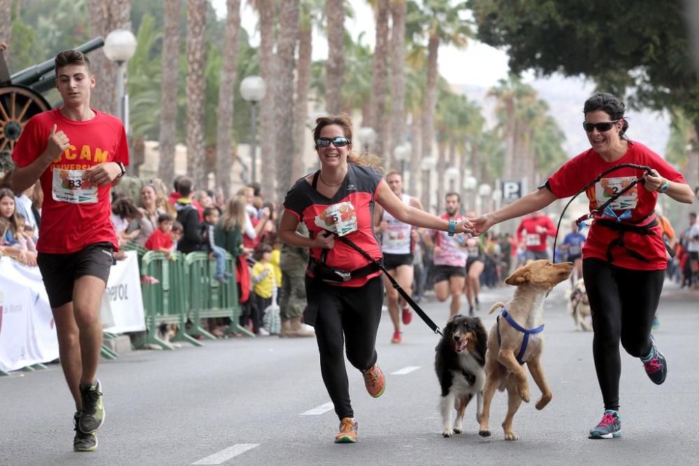 Canicross del Cross de la Artillería de Cartagena