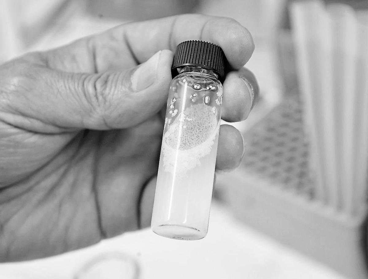 Una investigadora manipula una muestra.