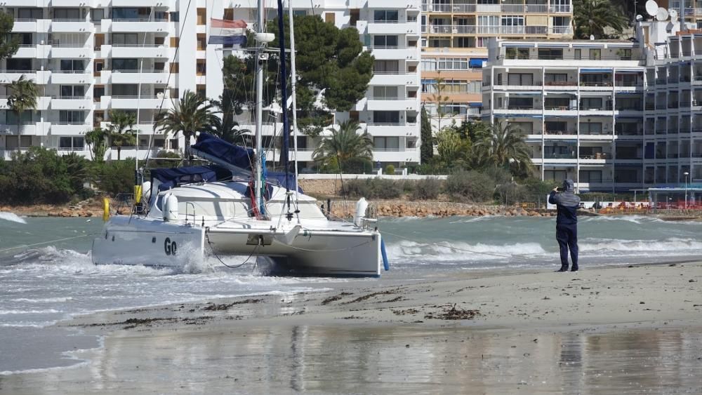 Wind und Wellen: Katamaran läuft auf Grund