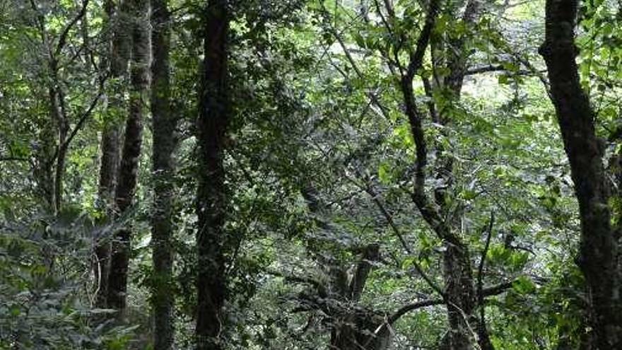 Se ve cómo el uso del agua moldeó la vida y el carácter de la gente