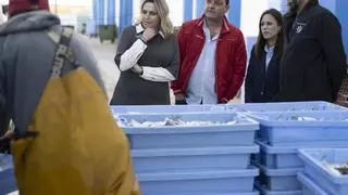 La Diputació de Castelló insta el Govern que atenga la seua petició d'exigir a Europa més dies de pesca