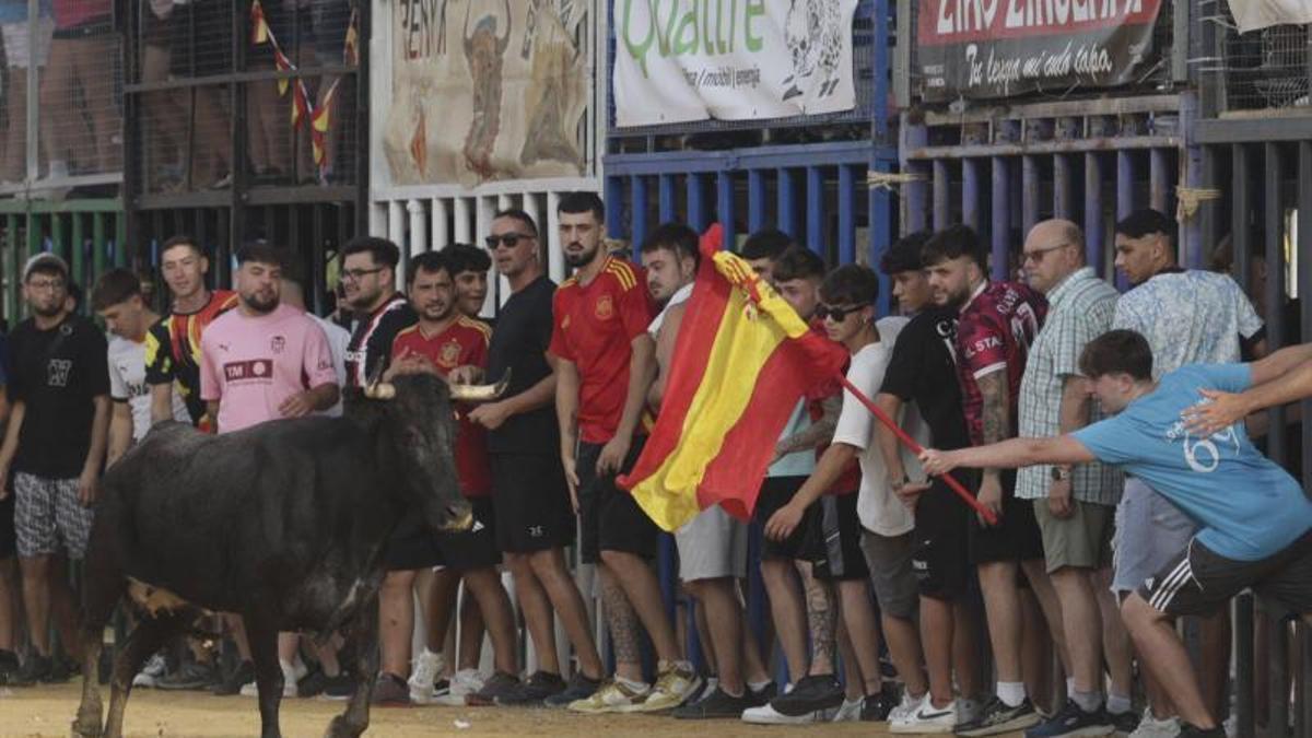 Un espectáculo taurino en las fiesta de Sagunt.