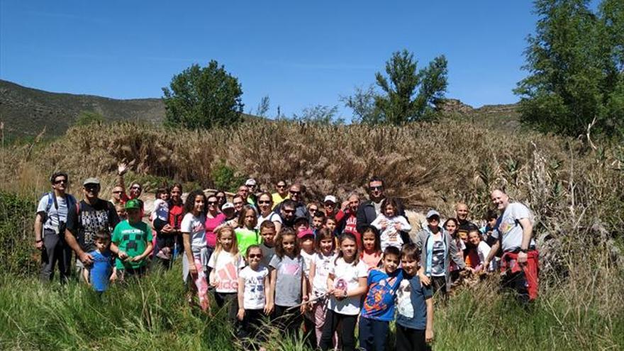 Los niños descubren la flora y fauna local