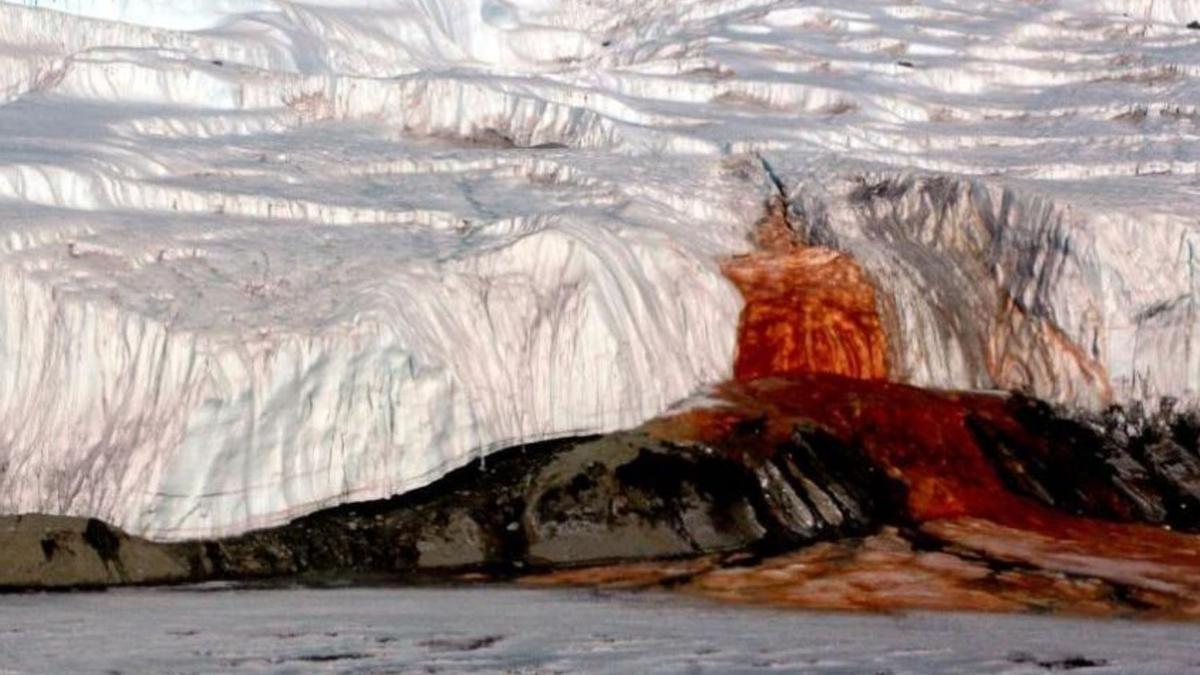Se acabó el misterio, ya sabemos por qué tienen ese color rojo las &quot;Cataratas de sangre&quot; de la Antártida