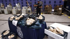 Desmantellat a Amposta el laboratori d’èxtasi més gran d’Espanya