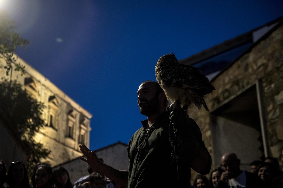 GALERÍA | Así es el Mercado Medieval de Cáceres con el regreso de la cetrería GALERÍA | Así es el Mercado Medieval de Cáceres con el regreso de la cetrería
