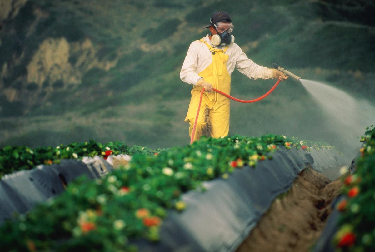 Un agricultor usa herbicida en un huerto.