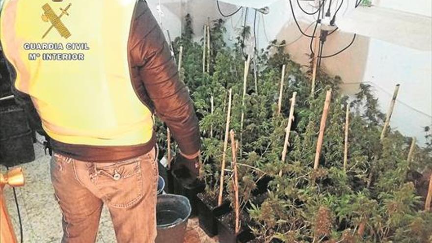 La Guardia Civil desmantela dos plantaciones ‘indoor’ de marihuana