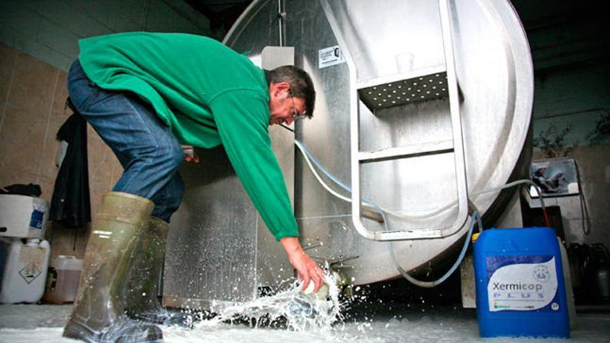 Ramón Santalla, ganadero del Deza, vaciando su tanque de leche. // Bernabé/Luismy