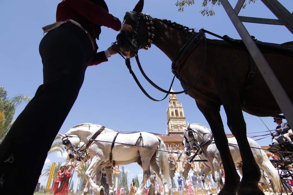 Exhibición de carruajes de tradición en El Arenal