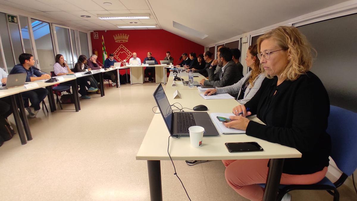 Ple d'aquest dimecres al Consell Comarcal del Berguedà amb Rosa Pujols a primert terme