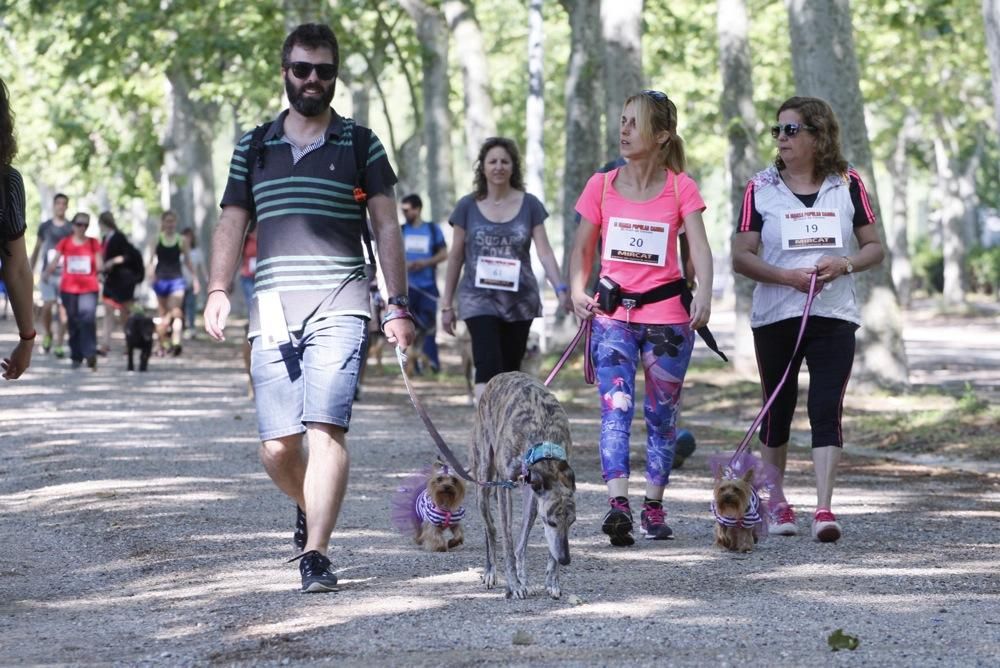 I Marxa Solidària Canina de Diari de Girona