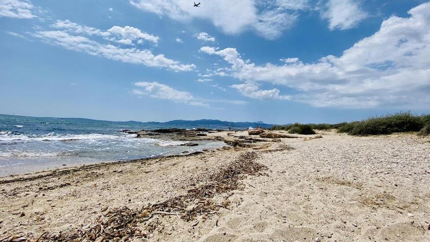 Langzeitprognose: So soll das Wetter im Winter auf Mallorca werden