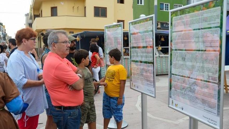 Feria de La Zafra 2017 en la Plaza del Tablero