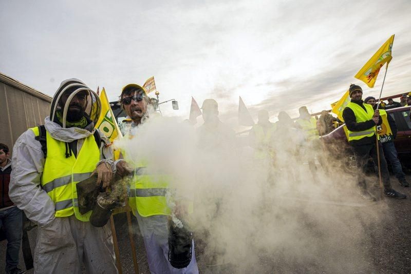 Manifestación de agricultores en Zaragoza