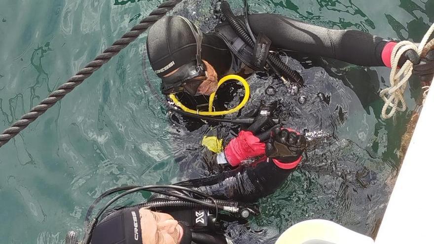 FOTOS | Récord de buzos voluntarios en la sexta limpieza del fondo marino de Club de Mar-Mallorca