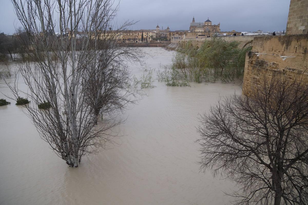 El río Guadalquivir, en umbral rojo a su paso por la capital
