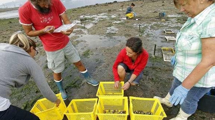 Las cajas de los experimentos. // J. Santomé