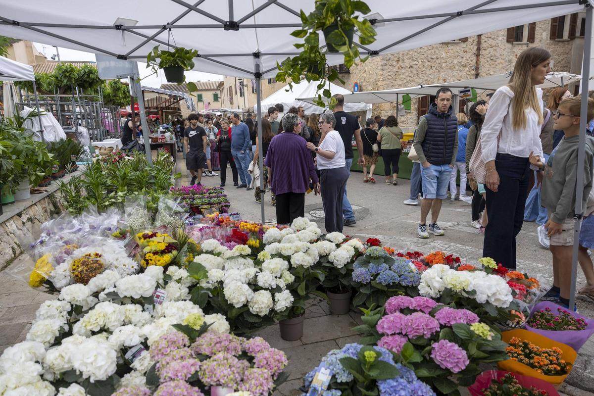 Las mejores imágenes de la Fira de les Flors de Costitx