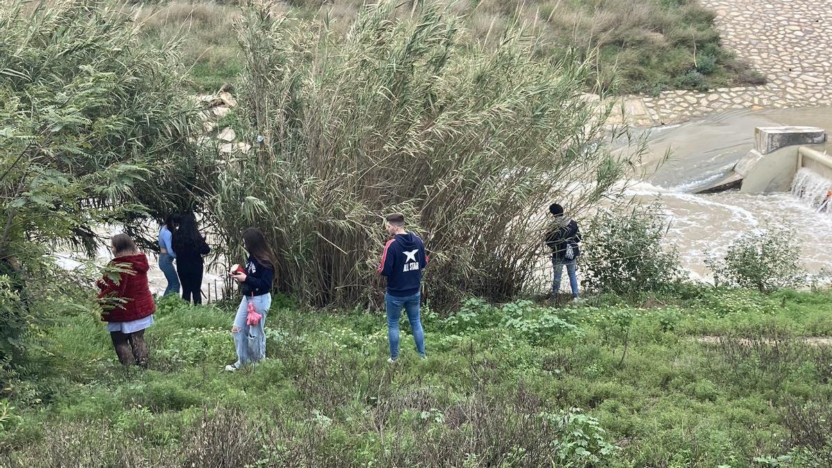 Algunos jóvenes hicieron sus necesidades en los márgenes del río Segura.