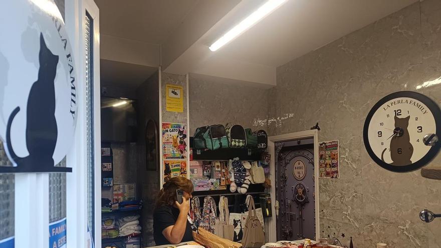 El 'cat café' de La Perla Family abre sus puertas en un nuevo espacio en Carral
