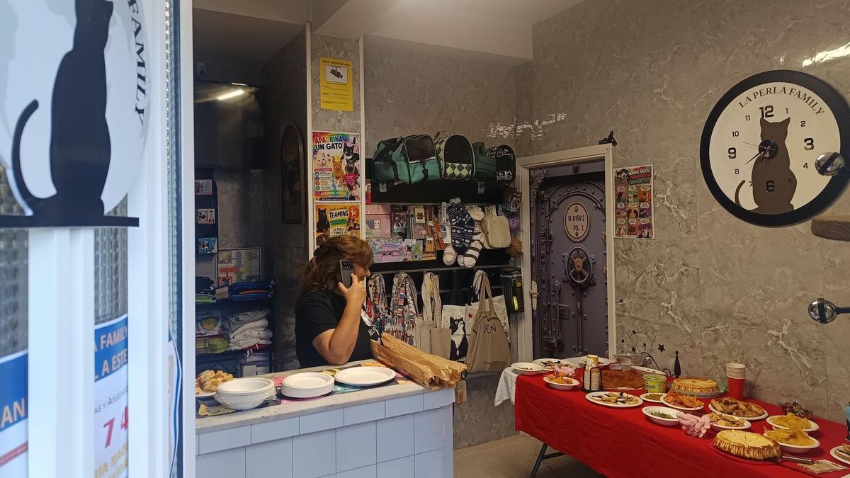 El 'cat café' de La Perla Family abre sus puertas en un nuevo espacio en Carral