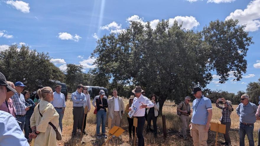 Representantes de varias empresas internacionales conocen de primera mano el proyecto de la mina de Oropesa de Fuente Obejuna