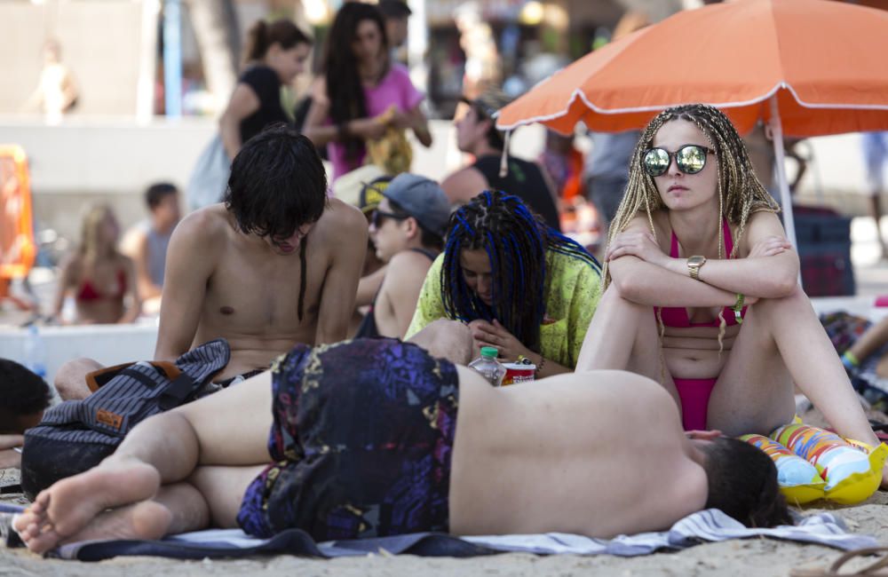 Ambiente de Rototom