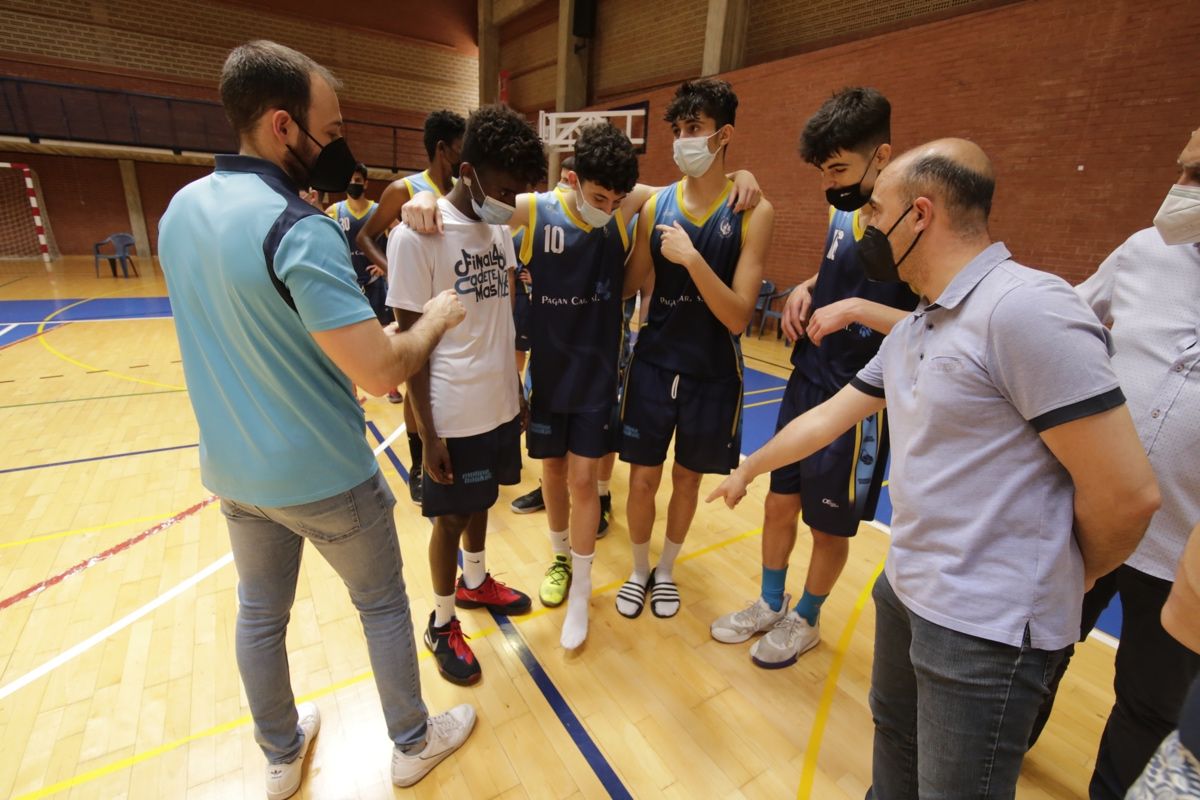 Basket Molina