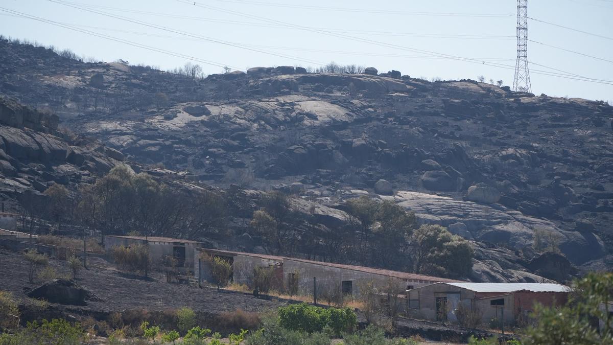 Superficie quemada en Fermoselle.