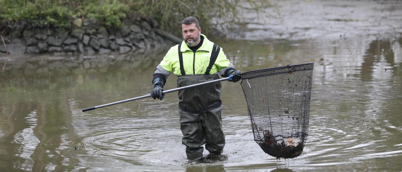 En imágenes: los dragados obligan a trasladar los peces del parque de Isabel la Católica