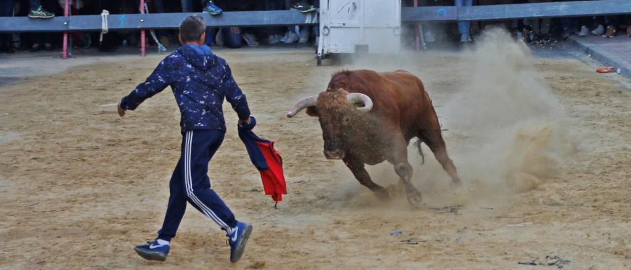 Los niños descubren los toros en Castelló