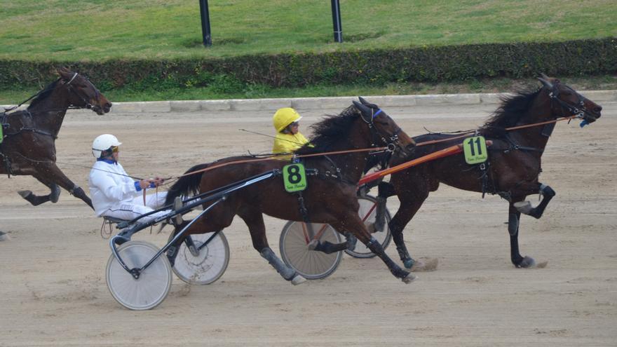 Jovial VX luchará por retomar el camino del éxito