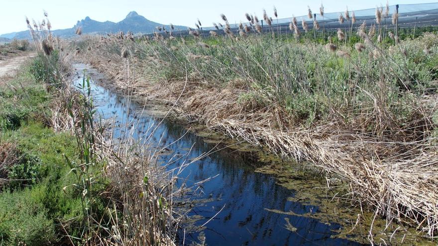 La acequia del rey en Villena.