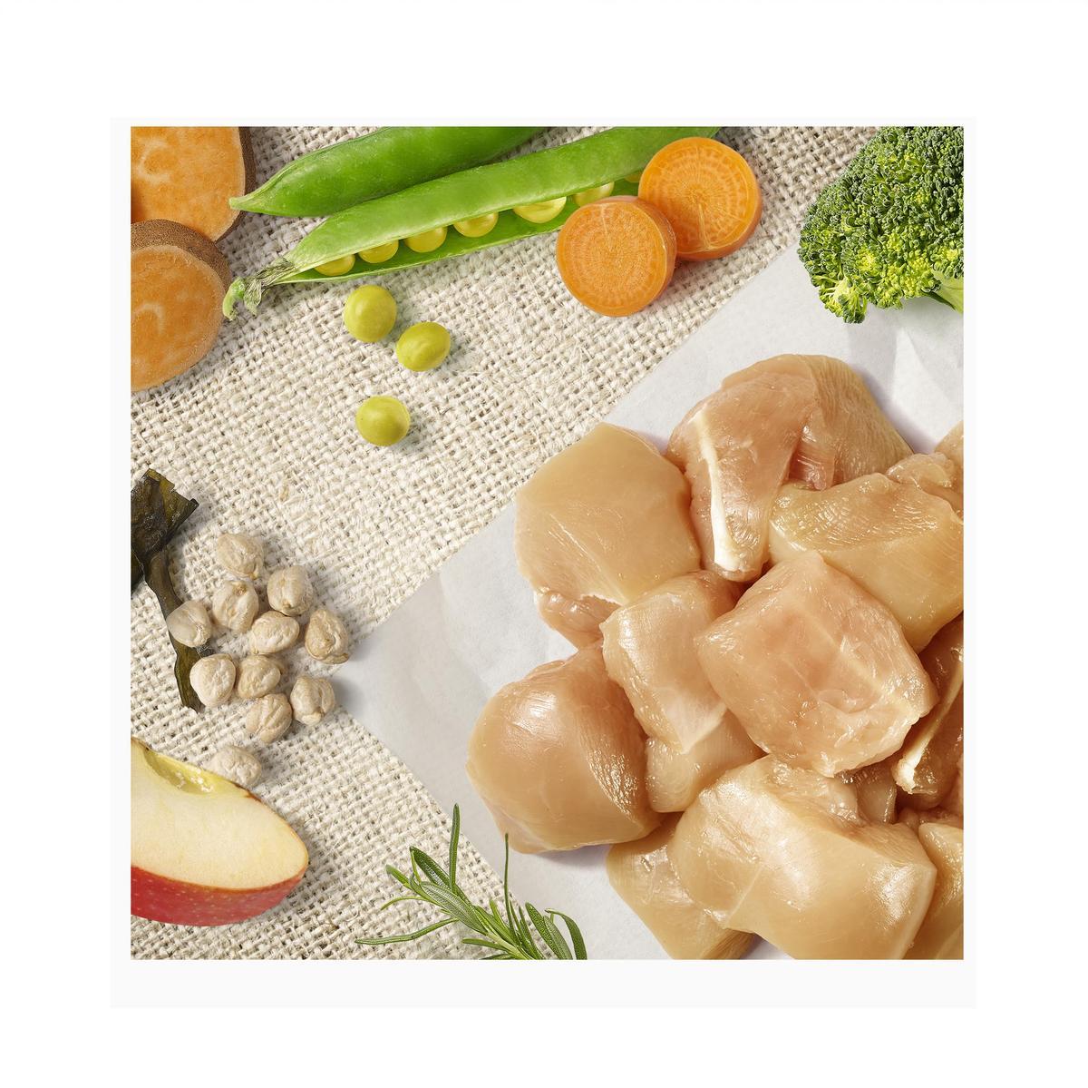 Ingredientes recetas Nature´s Variety