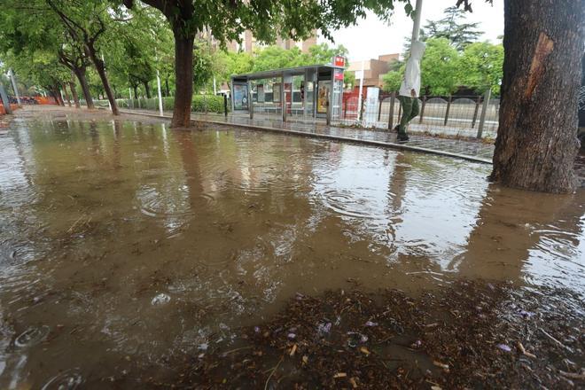 GALERÍA: Las imágenes que deja la Dana en la C. Valenciana