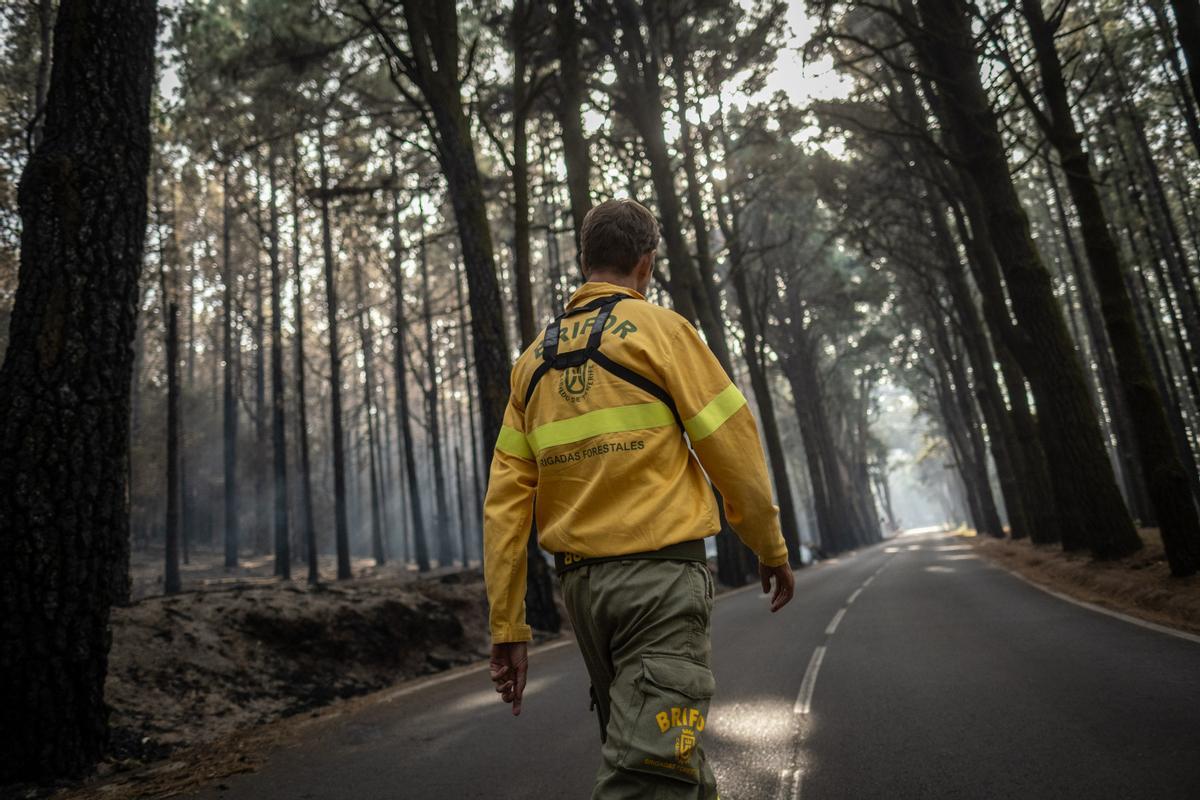 Incendio en Tenerife (22.08)