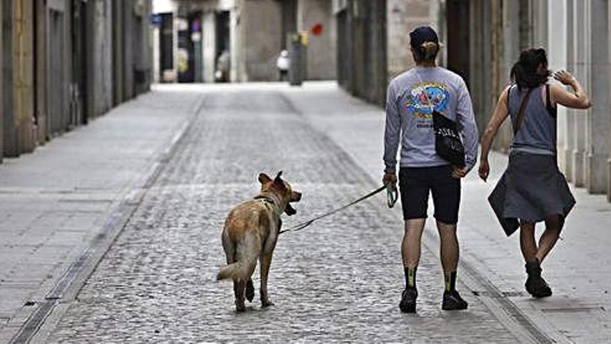 Dos veïns passejant el gos, ahir, al carrer Nou de Girona.