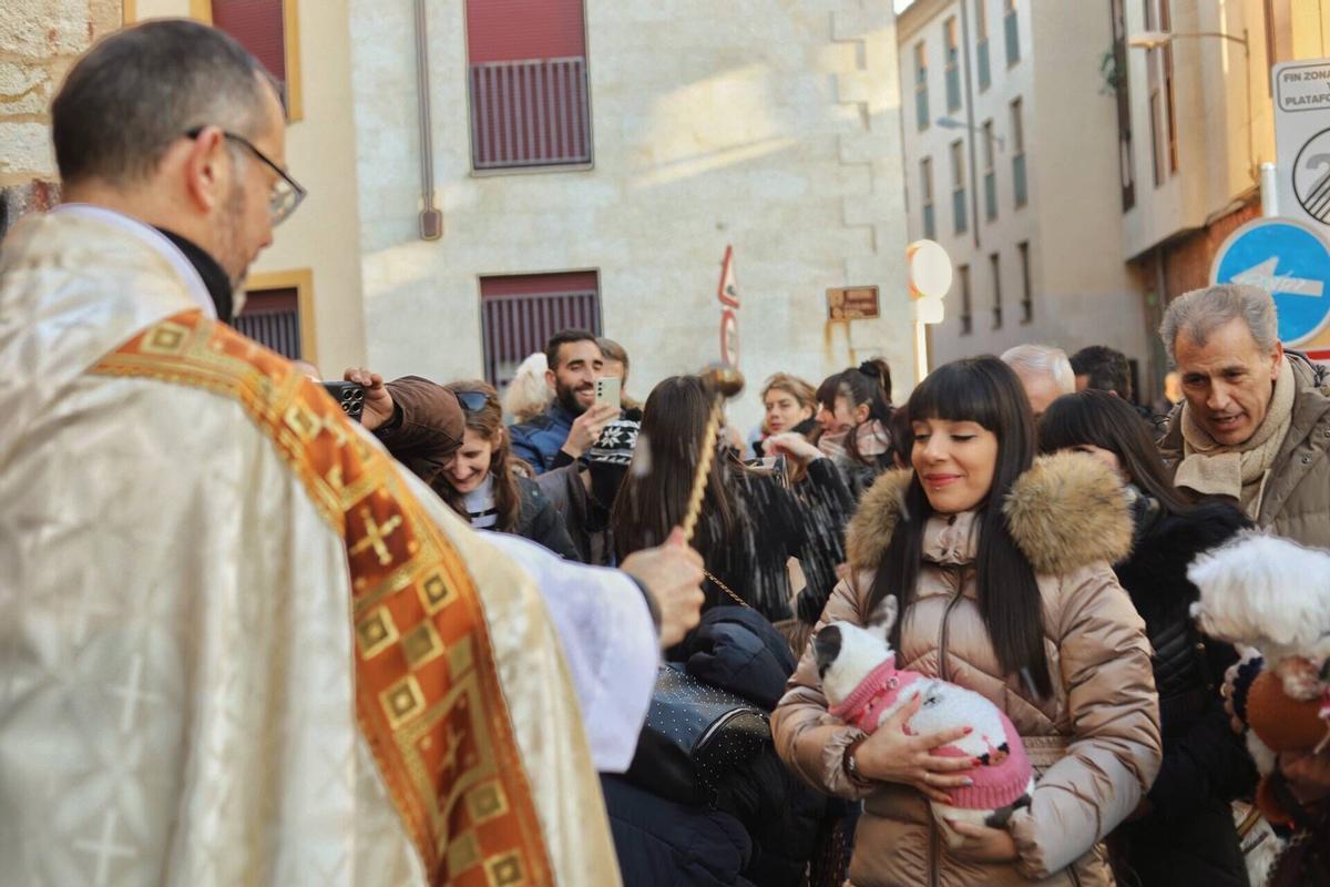 Bendición de animales del pasado año.